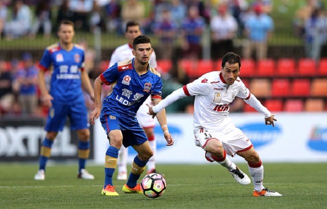 Soi kèo Adelaide - Newcastle Jets