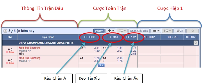 Kiến thức cần nắm khi lựa chọn nhà cái uy tín