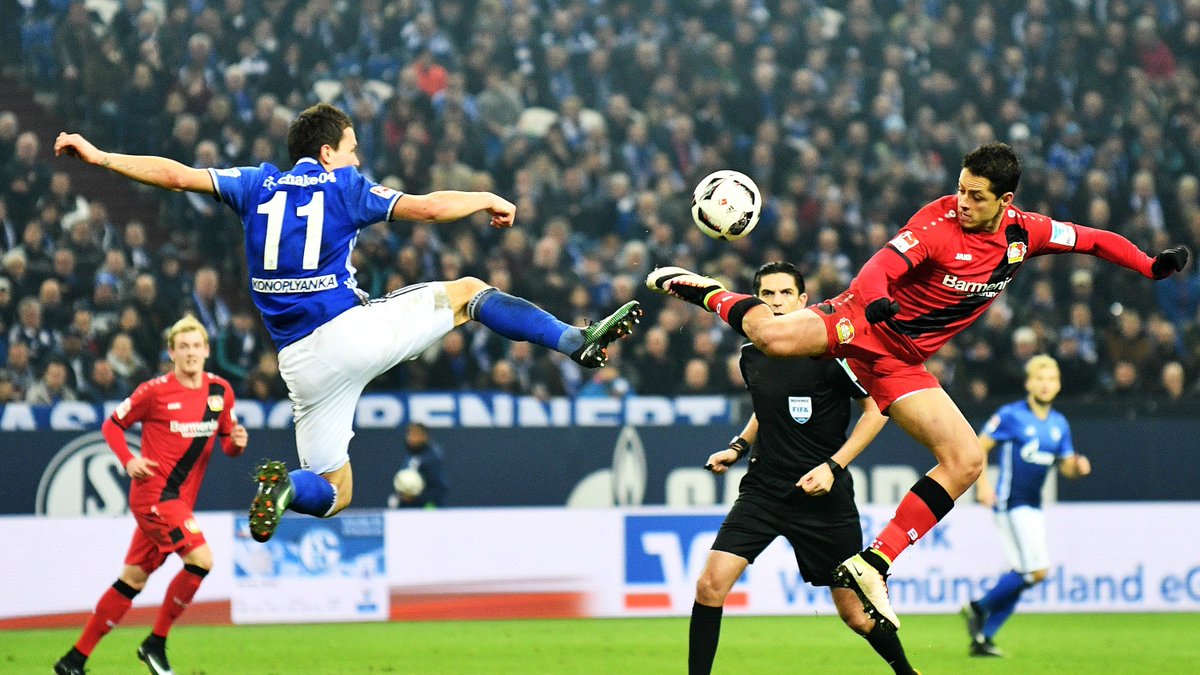 Soi kèo Schalke - Leverkusen