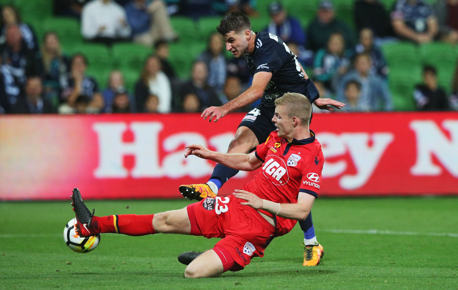 Soi kèo Adelaide - Melbourne Victory