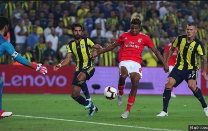 Chuyên gia Soi kèo Benfica – PAOK ngày 21/8: sáng cửa tài