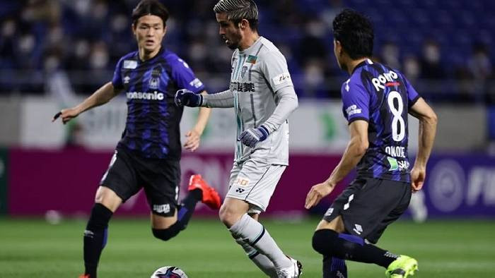 Soi kèo, dự đoán Avispa Fukuoka vs Gamba Osaka, 14h00 ngày 3/5 – VĐQG Nhật Bản