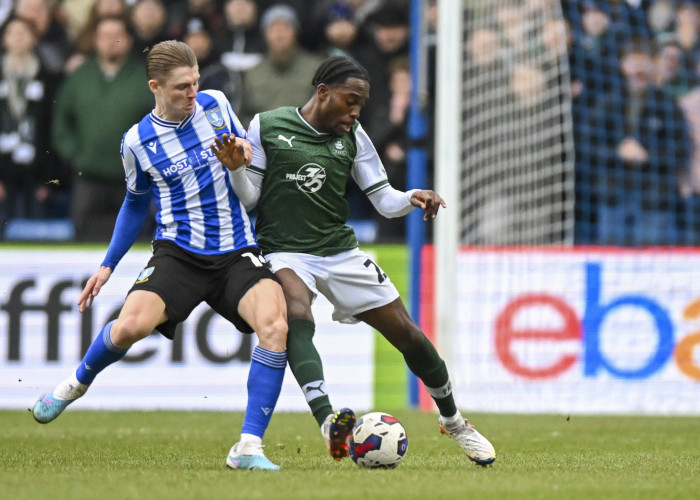 Soi kèo, dự đoán Sheff Wed vs Plymouth, 22h00 ngày 11/8 – Hạng nhất Anh