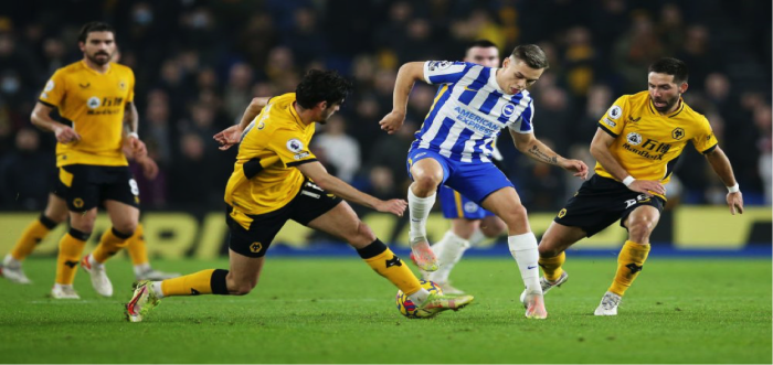 Soi kèo, dự đoán Wolves vs Brighton, 22h00 ngày 5/11 - Ngoại Hạng Anh